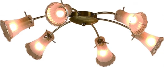 CL106162 Потолочная люстра Citilux Dana CL106162