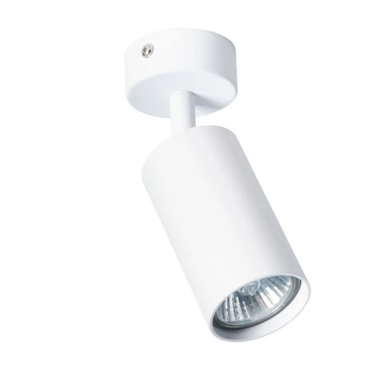 A3216PL-1WH Спот Arte Lamp Aquarius A3216PL-1WH (220V, круглые)