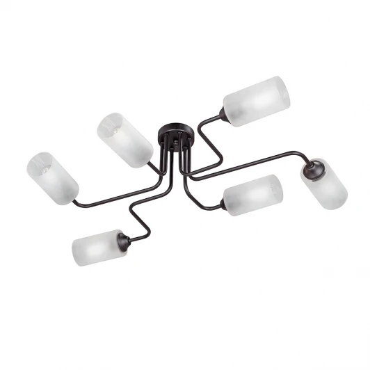 V4310-1/6PL Потолочная люстра Vitaluce V4310-1/6PL (220V)