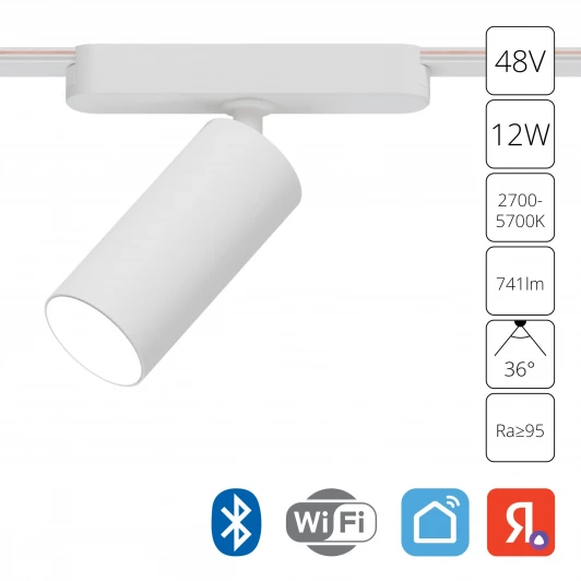 A2958PL-1WH Магнитный трековый светильник 48V 12W Arte Lamp Rapid A2958PL-1WH (LED, управление смартфоном, умный дом - Алиса, Tuya Smart, круглые)