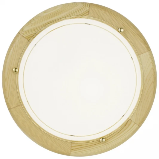 3890 Настенно-потолочный светильник Eglo Ufo 1 3890