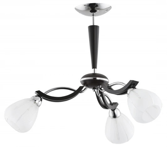 20783 Потолочная люстра Alfa Areta 20783