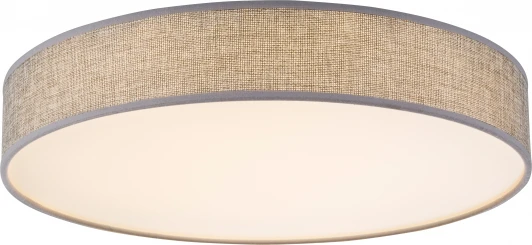 15185D2 Потолочный светильник Globo Amy 15185D2