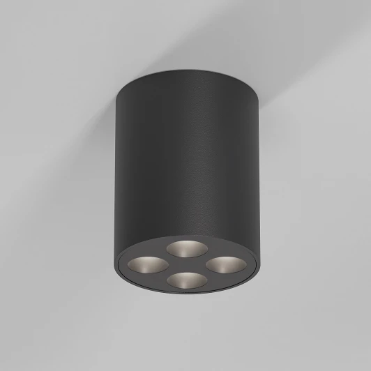 25111/LED Светильник потолочный светодиодный Elektrostandard Points 25111/LED черный (220V, круглые)