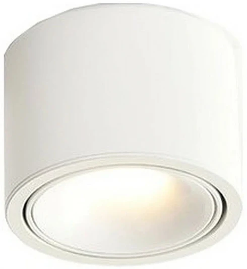 WTA.O06.007.30.12 Точечный светильник светодиодный накладной Wertmark Altair WTA.O06.007.30.12 (220V, круглые)