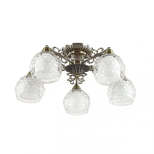 3106/5C Потолочная люстра Lumion Ampolla 3106/5C