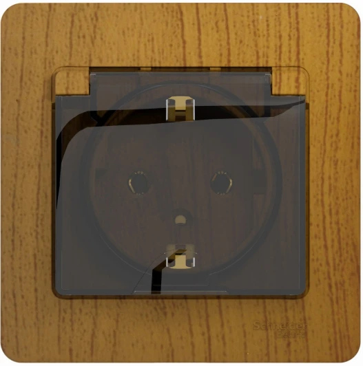 GSL000546 Розетка встраиваемая с заземлением, шторками и крышкой (дуб) Systeme Electric Glossa GSL000546