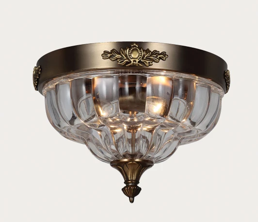 1306-2C Потолочный светильник Favourite Amely 1306-2C