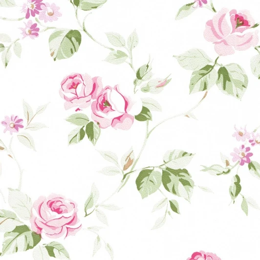 623-1 Рулонные обои Aromas 623-1