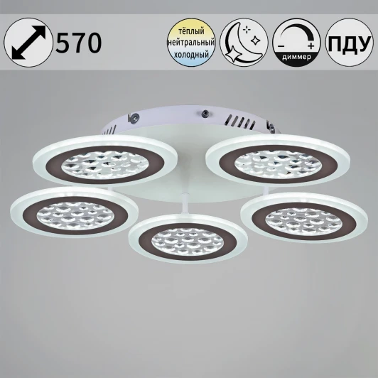 20491-0.3-05 WT Потолочная люстра светодиодная на штанге с пультом регулировкой яркости и цветовой температуры Reluce 20491-0.3-05 WT (220V)