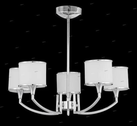 MA02484C/005Ch Brizzi 02484 MA02484C/005Ch