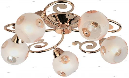 007/5PL Myone 007 007/5PL