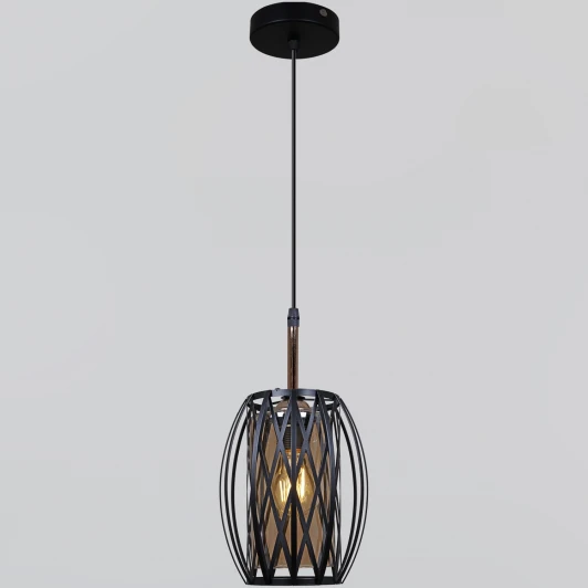 06004-0.9-01 BK Подвесной светильник Reluce 06004-0.9-01 BK (220V, на проводе)