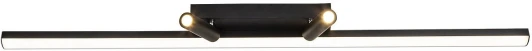 4089-2C Настенно-потолочный светильник Favourite Reticenza 4089-2C