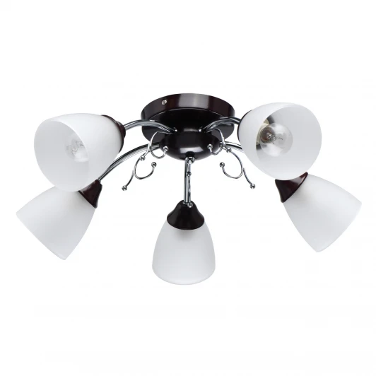 676015005 Потолочная люстра MW-Light Нежность 676015005