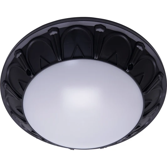 41361 Настенный светильник уличный Feron 41361