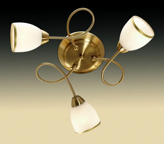 2561/3C Потолочная люстра Odeon Light Foko 2561/3C