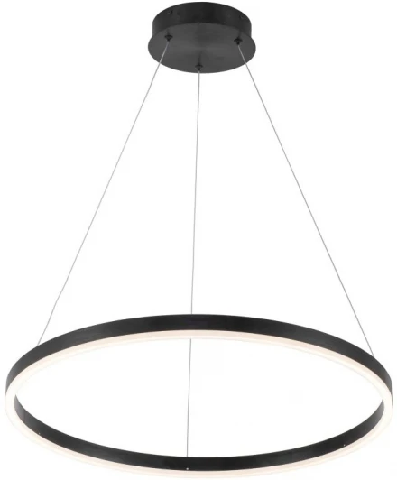 4005/02/01P Подвесной светильник Stilfort Planetary 4005/02/01P (LED, 220V, пульт управления, на тросе, круглые, кольцо)