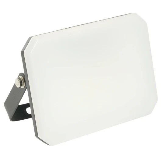 51044 Светодиодный прожектор Feron LL-941 51044