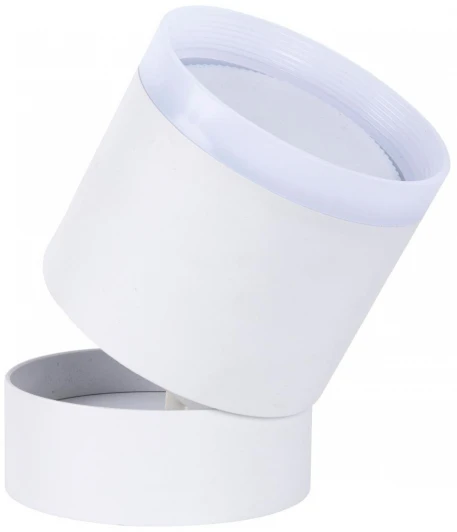 4709-1C Накладной потолочный светильник Favourite Dixi 4709-1C (220V, круглые)