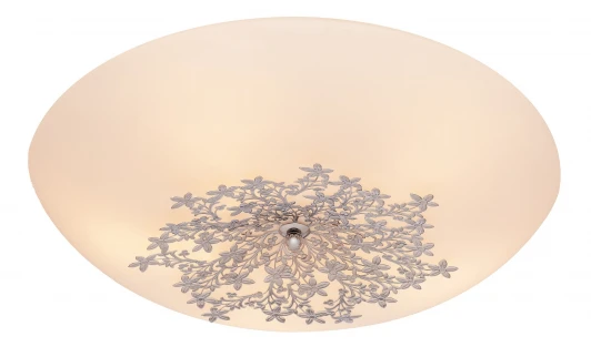 836.50.5 Настенно-потолочный светильник Silver Light Verbena 836.50.5