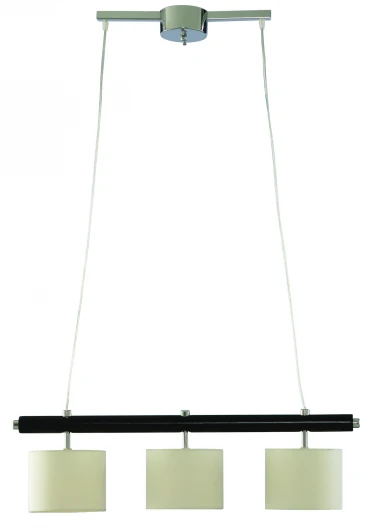 A1038SP-3BK Подвесной светильник Arte Lamp Woods A1038SP-3BK