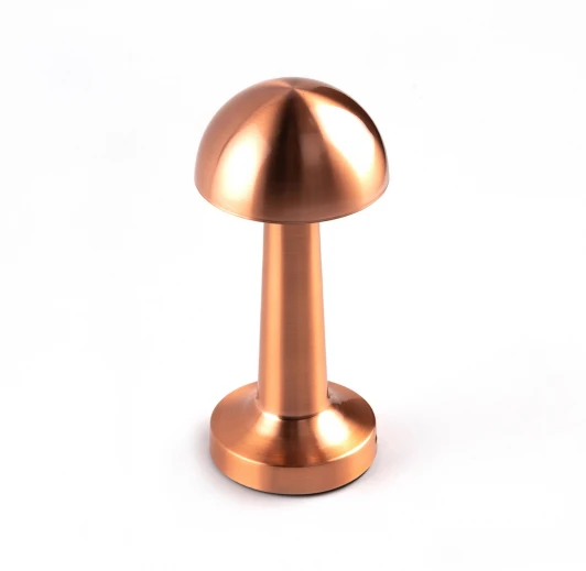 10257/L LED Настольная лампа Escada Evo 10257/L LED 3Вт, 13000/4000/6000K, металл/акрил, золото/белый