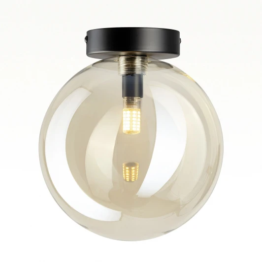 CL202512 Потолочный светильник в форме шара Citilux Orton CL202512 (220V, шар)