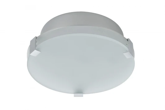 70279 Настенно-потолочный светильник Paulmann Xeta 70279