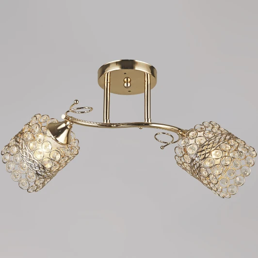 04481-0.3-02 FGD Потолочная люстра на штанге Reluce 04481-0.3-02 FGD (220V)