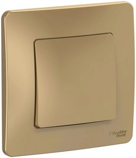 BLNVS010604 Выключатель встраиваемый одноклавишный (титан) Systeme Electric Blanca BLNVS010604