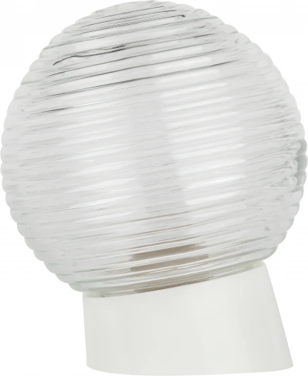 НБП 01-60-004 наклонный Настенно-потолочный светильник ЭРА НБП 01-60-004 наклонный (220V, шар)