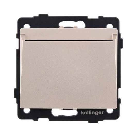REA-041GD Карточный выключатель механический золотой Kollinger REA-041GD для Aspekt, Eleganz, Reflex