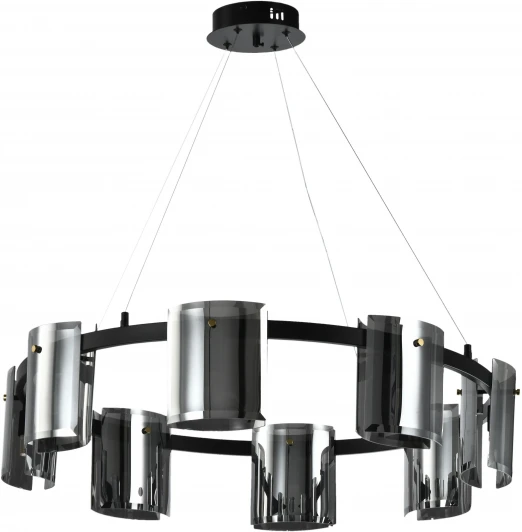 ZRS.1209.08 Подвесная люстра Zortes Rony ZRS.1209.08 (220V, на тросе, круглые)