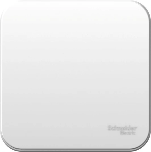 BLNVA061011 Выключатель накладной одноклавишный (белый) Systeme Electric Blanca BLNVA061011