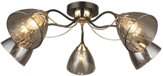 66659.01.15.05 Потолочная люстра Wedo Light Livorno 66659.01.15.05