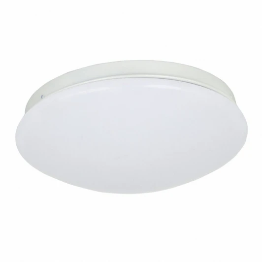2469-2C Потолочный светильник F-Promo Ledante 2469-2C
