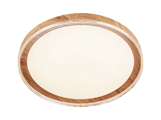 10269/S LED Потолочный светильник Escada Led 10269/S