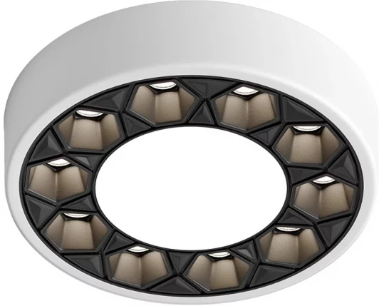 DK2440-WB Встраиваемый точечный светильник Denkirs Dual DK2440-WB (LED, 220V, круглые)