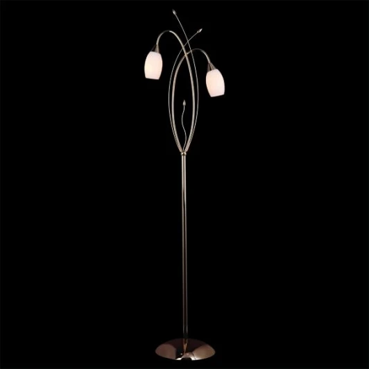 22080/2F золото Торшер Eurosvet 22080 22080/2F золото