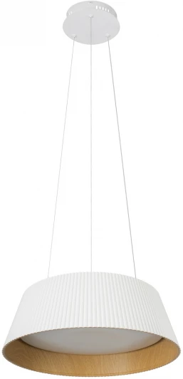 10224P White Подвесной светильник Loft It Evans 10224P White (LED, 220V, на тросе, круглые)