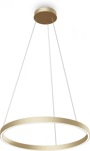 MOD058PL-L32BSK Подвесной светильник Maytoni Rim MOD058PL-L32BSK (LED, 220V, на тросе, кольцо)