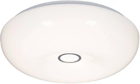 000020797 Настенно-потолочный светильник Мелодия Света CW1L 000020797