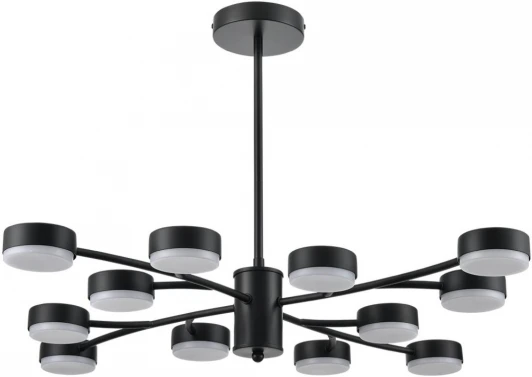 8117/12 Потолочная люстра на штанге Lumion Torina 8117/12 черный, металл LED GX53 12*7W 220V