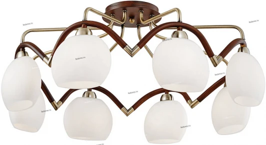 23-003-08C Snowlight 2300003 23-003-08C