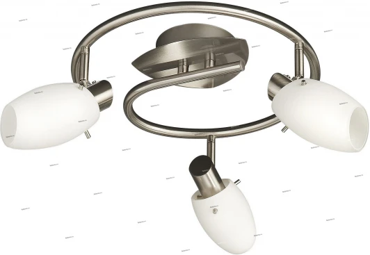 50999-17-10 Massive Usagi 50999-17-10