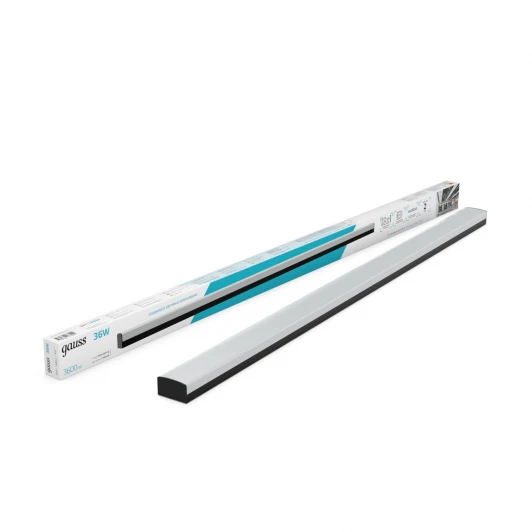 883625236 Настенно-потолочный светильник светодиодный Gauss 883625236