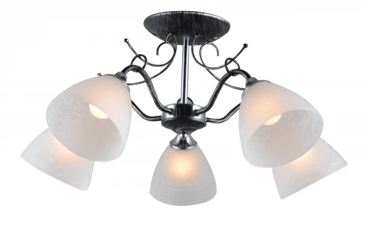 1120/5C Потолочная люстра J-Light Astor 1120/5C