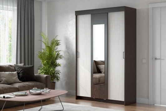 00-00103428 Шкаф Арника-купе ШКП 2