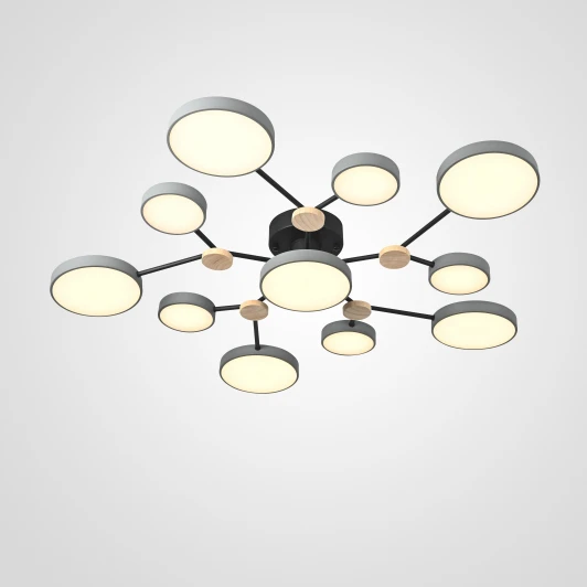 Gamma01 Потолочная люстра на штанге Gamma D102 Grey Imperiumloft Gamma01 (223767-23) (LED, 220V, пульт управления, круглые)